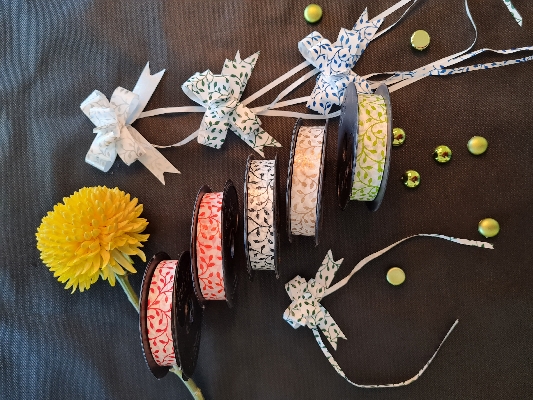 CINTAS FANTASÍA - PLANTITA